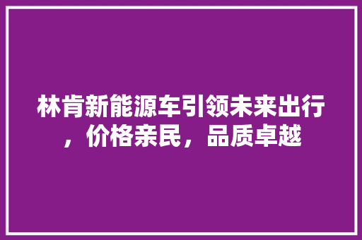 林肯新能源车引领未来出行，价格亲民，品质卓越