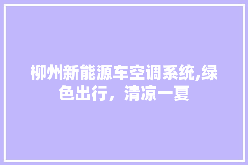 柳州新能源车空调系统,绿色出行，清凉一夏