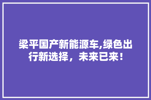 梁平国产新能源车,绿色出行新选择，未来已来！