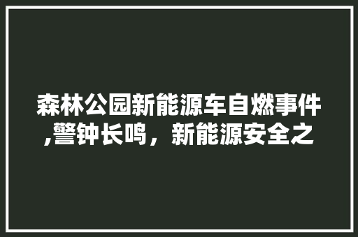 森林公园新能源车自燃事件,警钟长鸣，新能源安全之路任重道远