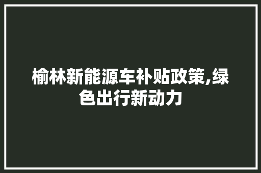 榆林新能源车补贴政策,绿色出行新动力