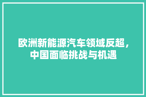 欧洲新能源汽车领域反超，中国面临挑战与机遇