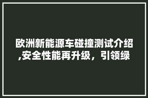 欧洲新能源车碰撞测试介绍,安全性能再升级，引领绿色出行新潮流