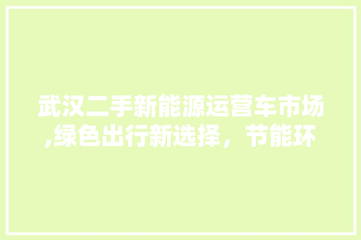 武汉二手新能源运营车市场,绿色出行新选择，节能环保共未来