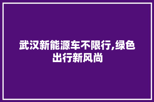 武汉新能源车不限行,绿色出行新风尚