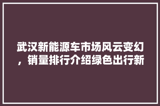 武汉新能源车市场风云变幻，销量排行介绍绿色出行新趋势