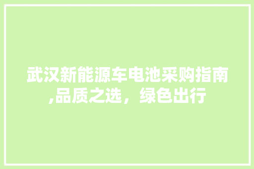 武汉新能源车电池采购指南,品质之选，绿色出行