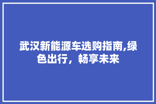 武汉新能源车选购指南,绿色出行，畅享未来