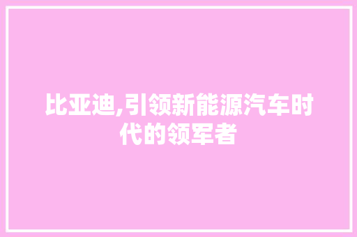 比亚迪,引领新能源汽车时代的领军者