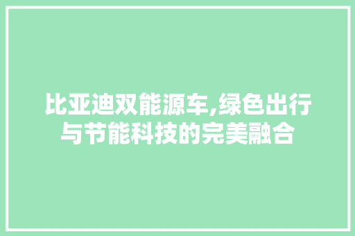 比亚迪双能源车,绿色出行与节能科技的完美融合