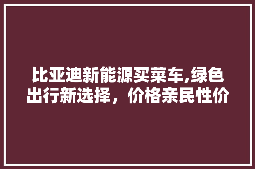 比亚迪新能源买菜车,绿色出行新选择，价格亲民性价比高