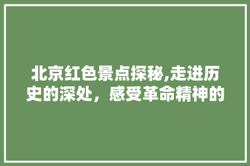 北京红色景点探秘,走进历史的深处，感受革命精神的传承