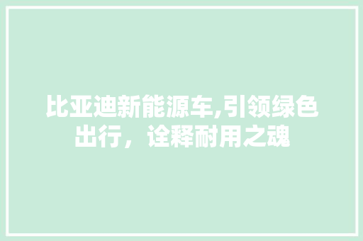 比亚迪新能源车,引领绿色出行，诠释耐用之魂