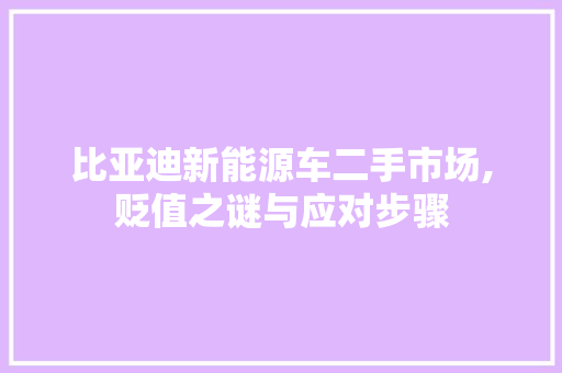 比亚迪新能源车二手市场,贬值之谜与应对步骤