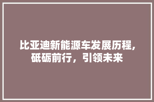 比亚迪新能源车发展历程,砥砺前行，引领未来