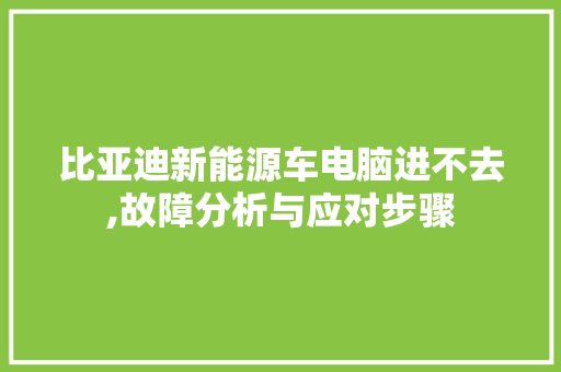 比亚迪新能源车电脑进不去,故障分析与应对步骤