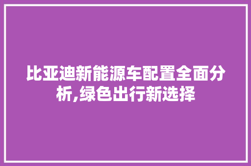 比亚迪新能源车配置全面分析,绿色出行新选择