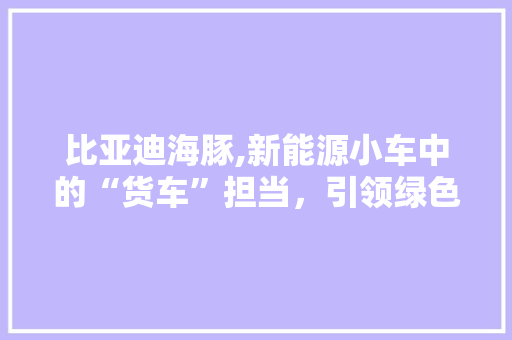 比亚迪海豚,新能源小车中的“货车”担当，引领绿色出行新风尚