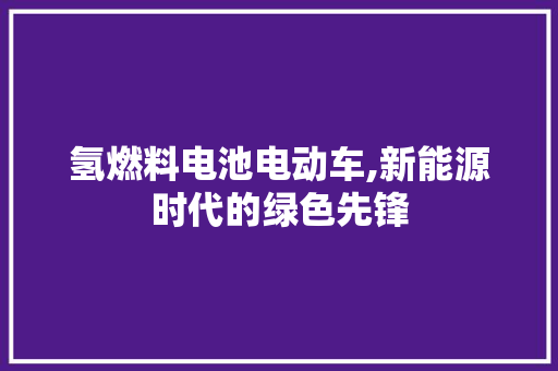 氢燃料电池电动车,新能源时代的绿色先锋