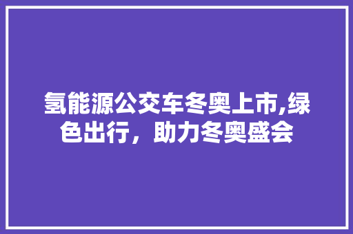 氢能源公交车冬奥上市,绿色出行，助力冬奥盛会