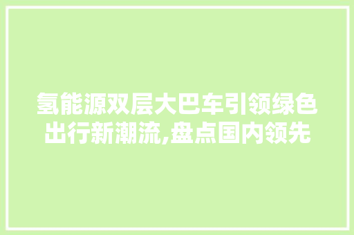 氢能源双层大巴车引领绿色出行新潮流,盘点国内领先企业