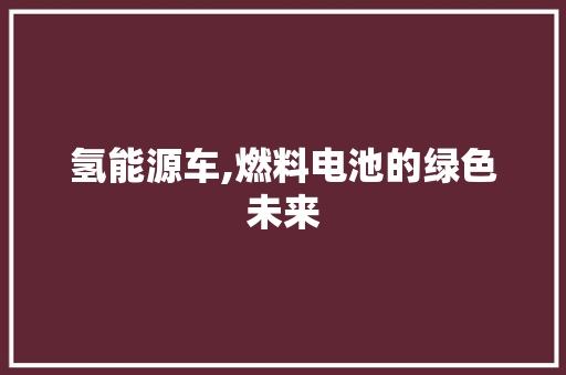 氢能源车,燃料电池的绿色未来