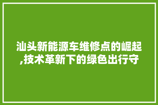 汕头新能源车维修点的崛起,技术革新下的绿色出行守护者