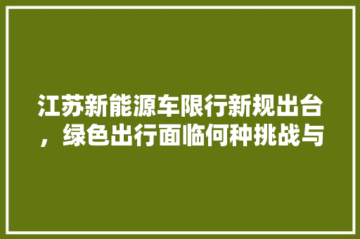 江苏新能源车限行新规出台，绿色出行面临何种挑战与机遇