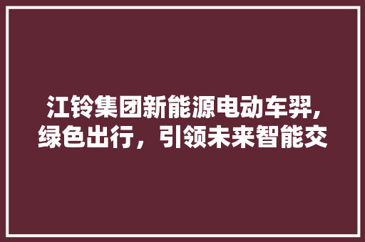 江铃集团新能源电动车羿,绿色出行，引领未来智能交通新潮流