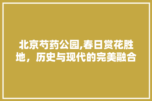 北京芍药公园,春日赏花胜地，历史与现代的完美融合