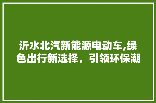 沂水北汽新能源电动车,绿色出行新选择，引领环保潮流