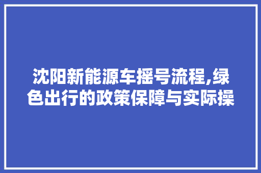 沈阳新能源车摇号流程,绿色出行的政策保障与实际操作