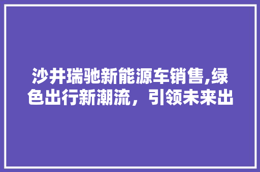 沙井瑞驰新能源车销售,绿色出行新潮流，引领未来出行时代