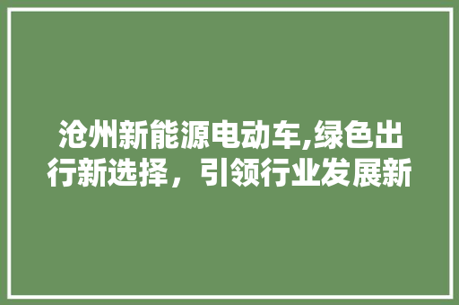 沧州新能源电动车,绿色出行新选择，引领行业发展新潮流