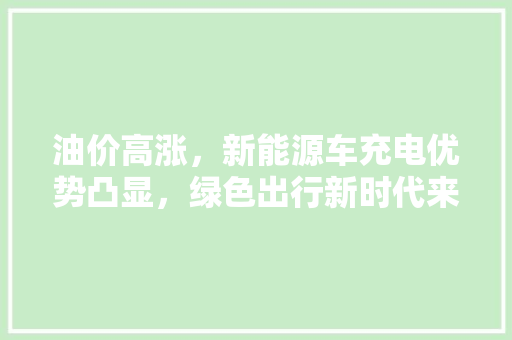 油价高涨，新能源车充电优势凸显，绿色出行新时代来临