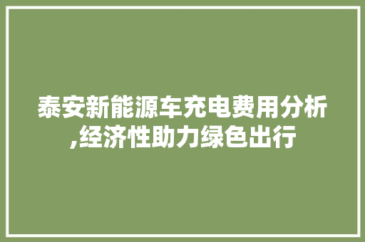 泰安新能源车充电费用分析,经济性助力绿色出行