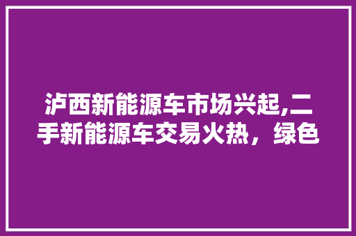 泸西新能源车市场兴起,二手新能源车交易火热，绿色出行新选择