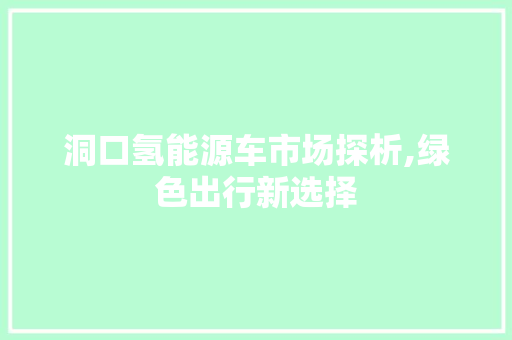 洞口氢能源车市场探析,绿色出行新选择