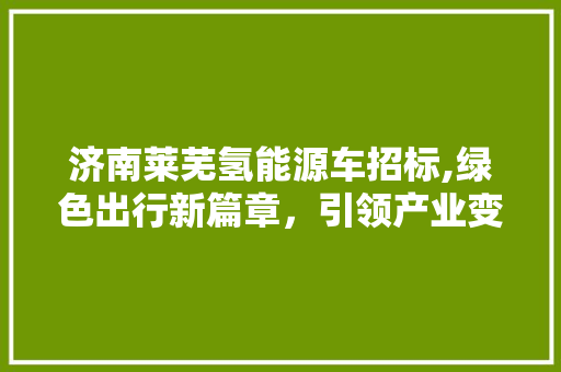 济南莱芜氢能源车招标,绿色出行新篇章，引领产业变革