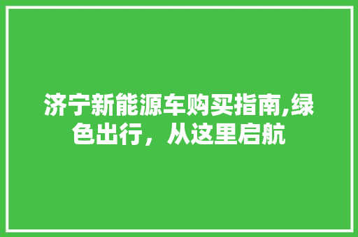 济宁新能源车购买指南,绿色出行，从这里启航