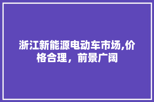 浙江新能源电动车市场,价格合理，前景广阔