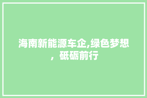 海南新能源车企,绿色梦想，砥砺前行