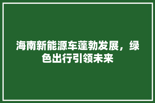 海南新能源车蓬勃发展，绿色出行引领未来