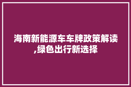 海南新能源车车牌政策解读,绿色出行新选择