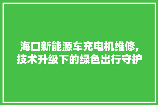 海口新能源车充电机维修,技术升级下的绿色出行守护者