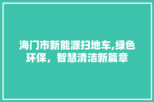 海门市新能源扫地车,绿色环保，智慧清洁新篇章