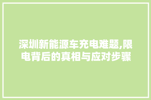 深圳新能源车充电难题,限电背后的真相与应对步骤