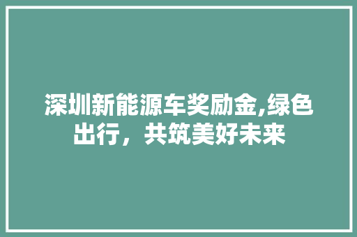 深圳新能源车奖励金,绿色出行，共筑美好未来