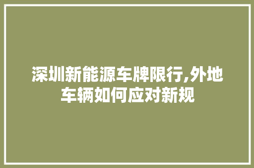 深圳新能源车牌限行,外地车辆如何应对新规