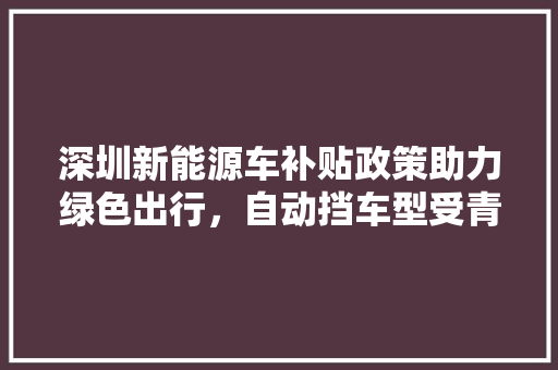 深圳新能源车补贴政策助力绿色出行，自动挡车型受青睐